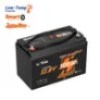 LiTime – LiTime 12V 100Ah Marine Deep Cycle Battery for Electric Outboard Trolling Motor