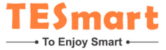 TESmart